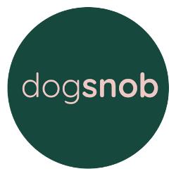 Winner small image - Dogsnob